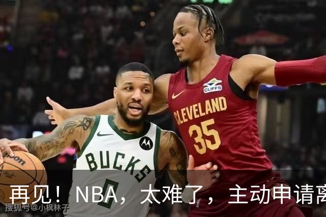 再见！NBA，太难了，主动申请离队，才22岁的超级天才啊