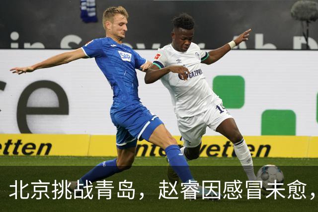 北京挑战青岛，赵睿因感冒未愈，李楠与布朗对五连胜表态！