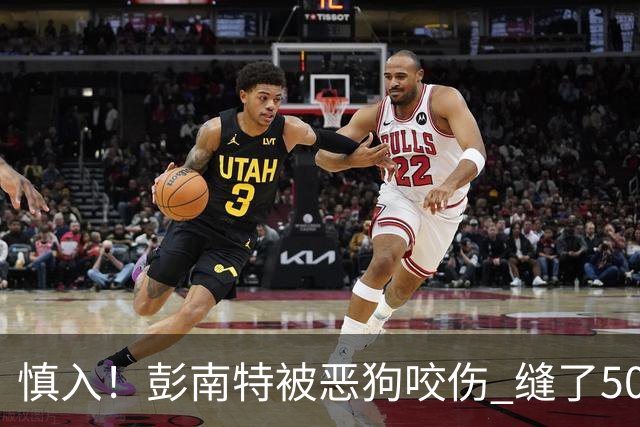 慎入！彭南特被恶狗咬伤 缝了50多针，所幸他的宠物犬英勇护主