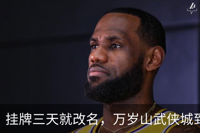 挂牌三天就改名，万岁山武侠城到底要什么？