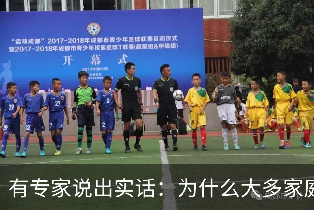 有专家说出实话：为什么大多家庭后悔买新能源汽车？原因很现实