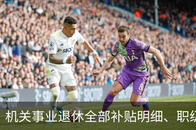 机关事业退休全部补贴明细、职级、年龄、标准一次性讲清楚