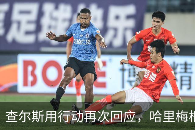 查尔斯用行动再次回应，哈里梅根进退两难，半进半出计划居然落空