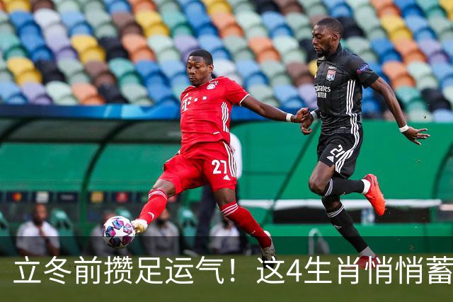 立冬前攒足运气！这4生肖悄悄蓄力，明年日子红火，有你家吗？