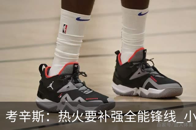 考辛斯：热火要补强全能锋线 小米切尔更适合防守尖兵定位