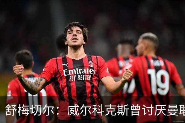 舒梅切尔：威尔科克斯曾讨厌曼联，为何如今却在曼联任职